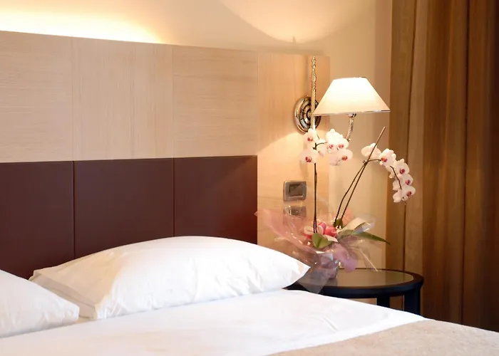 San Giorgio, Sure Collection By Western Forlì